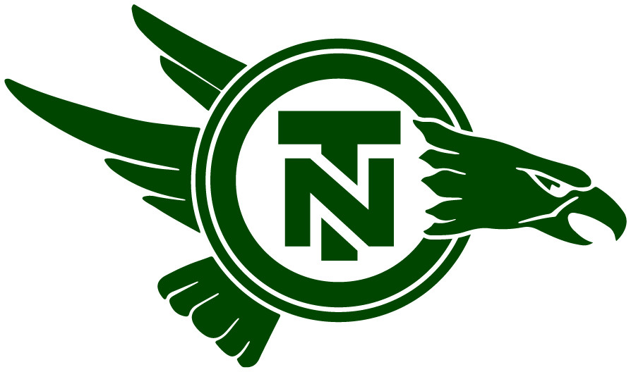 North Texas Mean Green 1983-1994 Primary Logo diy DTF decal sticker...